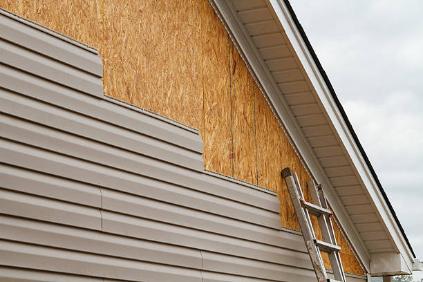 Professional Siding Inspection technician working in Newport News, VA
